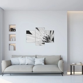 Kép - Fekete-fehér virág (90x60 cm)
