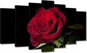 Vászonkép 140x80 Aranyos rózsa