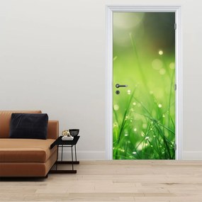 Fotótapéta ajtóra - Harmat a füvön (95x205cm)