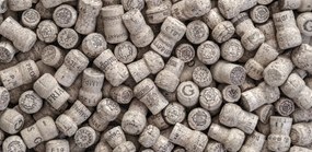 Poszter 91,3x44,5cm Pezsgős dugók, Assaf Frank