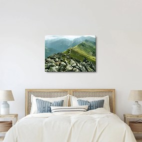 Kép - Hegyi táj (70x50 cm)