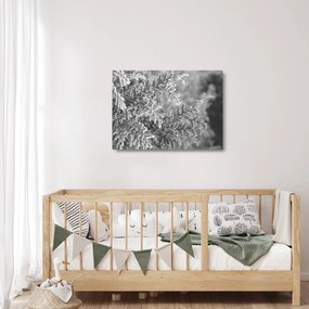 Üveg kép - Lucfenyő erdő (70x50 cm)