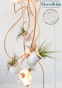 BOCCI 38-3 Modern Függesztett Lámpa LED IP20