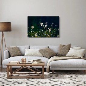 Kép - Fű (90x60 cm)