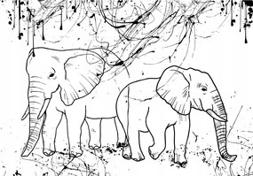 Fotótapéta Elefántok absztrakt fekete-fehér minimalizmus 460x300 +ragasztó