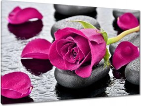 Vászonkép 120x80 Rózsaszín rózsa köveken