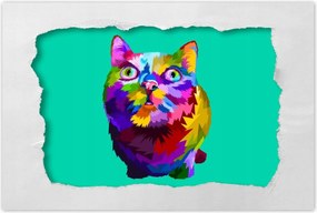 Poszterek 90x60 Cica Cicák Macskák