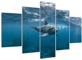 Kép - Delfin a felszín alatt (150x105 cm)