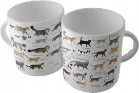 Bögre Soliton Macskák