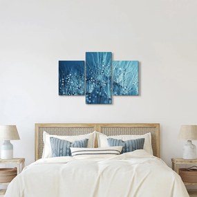 Kép - Harmatcseppek (90x60 cm)