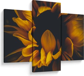 Kép - Napraforgó fekete háttérben (90x60 cm)