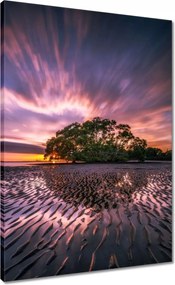 Vászonkép 50x70 Gyönyörű lila tájkép