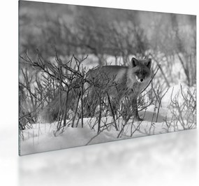 Üveg kép - Róka télen (70x50 cm)