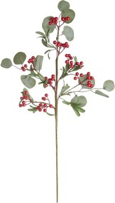 FLORISTA eukaliptusz ág piros bogyókkal 70cm
