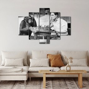 Kép - Cirkusz 2 (150x105 cm)