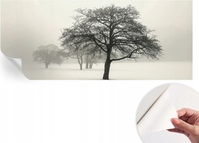 Dekoratív öntapadós fotótapéta Hálószobába Téli fák 250x104 cm