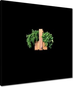 Vászonkép 50x50 Petrezselyem kapor gyógynövények