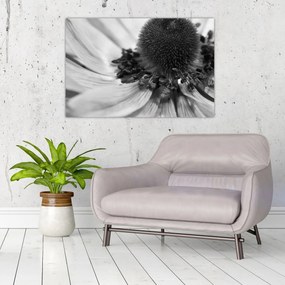Kép - Virág fekete-fehérben (90x60 cm)