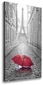 Vászonfotó Esernyő franciaország ocv-65130682