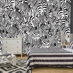 Fotótapéta - Zebra (152,5x104 cm)