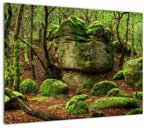 Egy varázslatos erdő képe (70x50 cm)