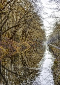 Poszter 21x29,7cm Csatorna az erdőben, Assaf Frank