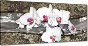 Vászonkép 60x30 Fehér orchidea márvány háttér