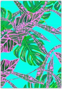 Poszterek 70x100 Monstera Rózsalevelek