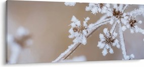 Kép - Fagy (120x50 cm)