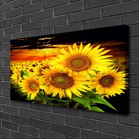 Canvas kép Napraforgó virág növény 140x70 cm