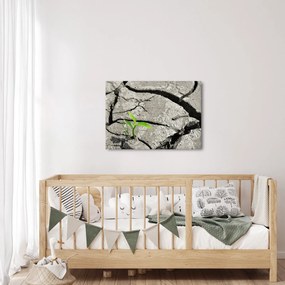 Kép - Repedések (70x50 cm)