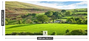 Fotótapéta tavaszi Cumbria 104x70 cm