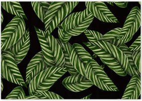 Poszterek 100x70 Zöld levelek Trópusok