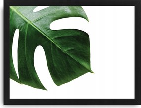 Zöld levél kép keret A3 zöld dekoráció