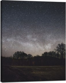 Vászonkép Kozmosz Csillagos égbolt 40x50