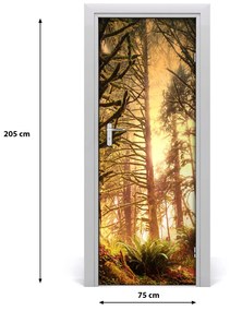 Fotótapéta ajtóra az esőerdő 75x205 cm