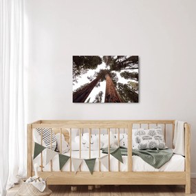 Kép - Kilátás a fák között (70x50 cm)