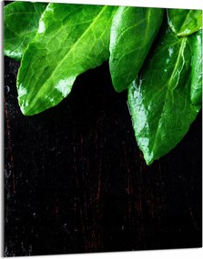 Üveg Vágódeszka 40x52 Bazsalikom Konyha