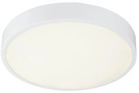 Globo Globo - LED Szabályozható mennyezeti lámpa LED/28W/230V GL5131