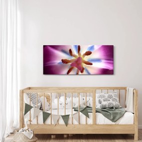 Kép - Tulipán virág részletesen (120x50 cm)