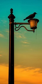 Poszter 50x100cm Nyugat a Lámpásban