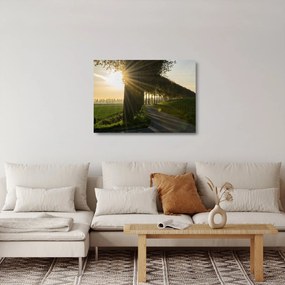 Fasor képe (üvegen) (70x50 cm)
