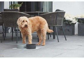 Porcelán tálka kutyáknak ø 20 cm Scodella Cement M/L – MiaCara