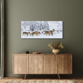 Kép - Farkasok a hegyekben (120x50 cm)