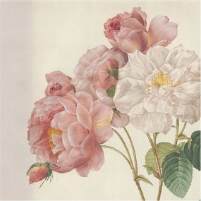 Fotótapéta Flizelin Fal a Hálószobába Romantikus rózsák 250x250 Ragasztó