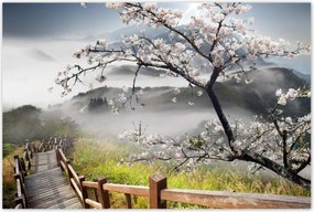 Poszterek 120x80 Japán Virágzó cseresznye