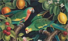 Fotó Fali tapéta Falikép Trópusi kaland 416x254 Ragasztó