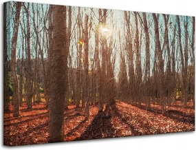 Vászonkép Erdő Ősz Levelek Színes Természet 80x50 cm