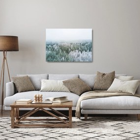 Kép - Havas erdőcsúcsok (üvegen) (70x50 cm)