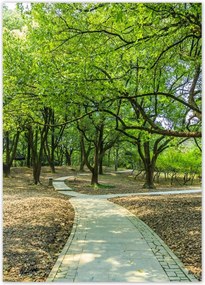 Poszterek 50x70 Zöld park úttal